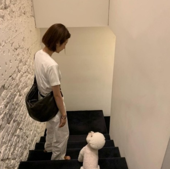 현대르메르 이미지