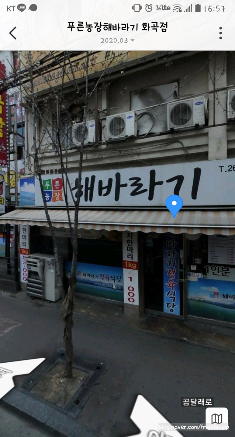 푸른농장해바라기 이미지
