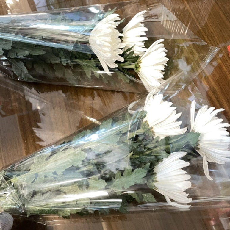 대국화원 이미지