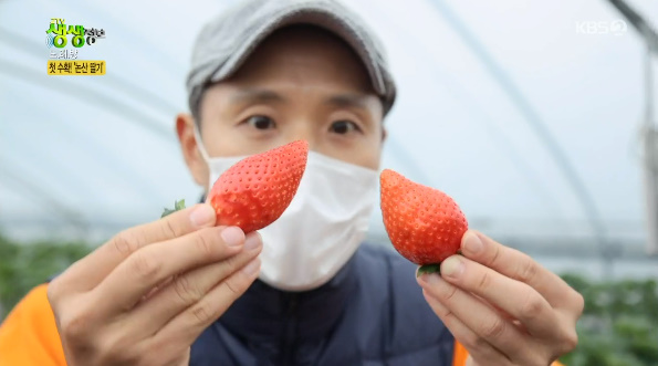 복동농장 이미지