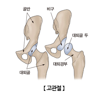 새부산스포츠 이미지
