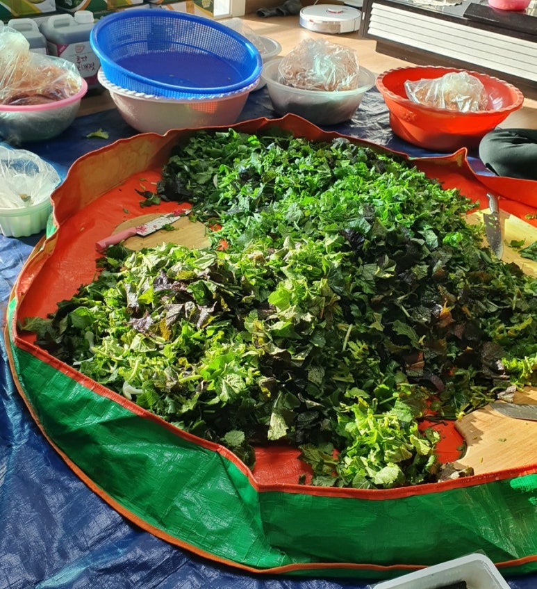 돌돌이꼬마김밥 이미지