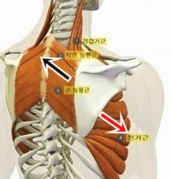 넘버원휘트니스 이미지
