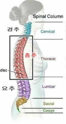 넘버원휘트니스 이미지