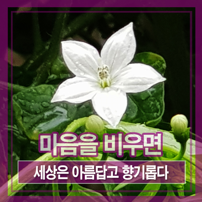 향기공감 이미지