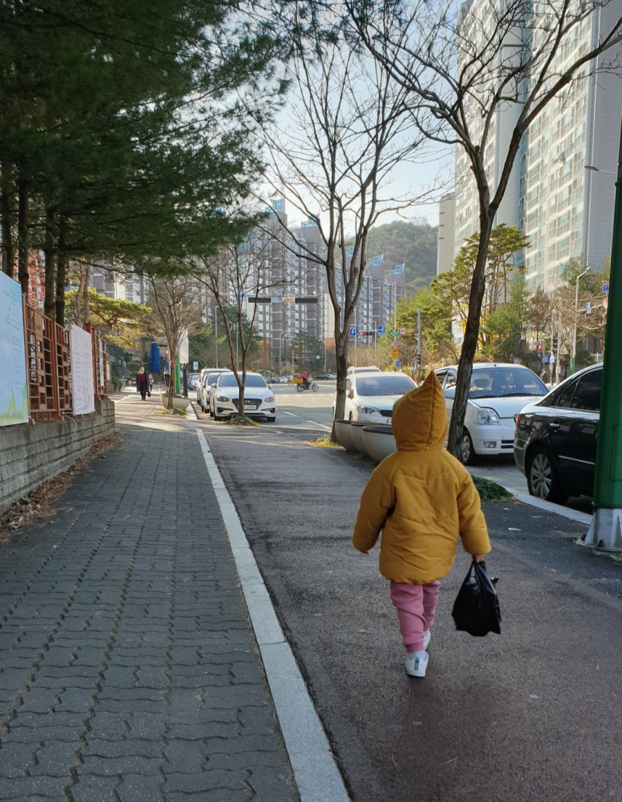 해미르 푸드 이미지