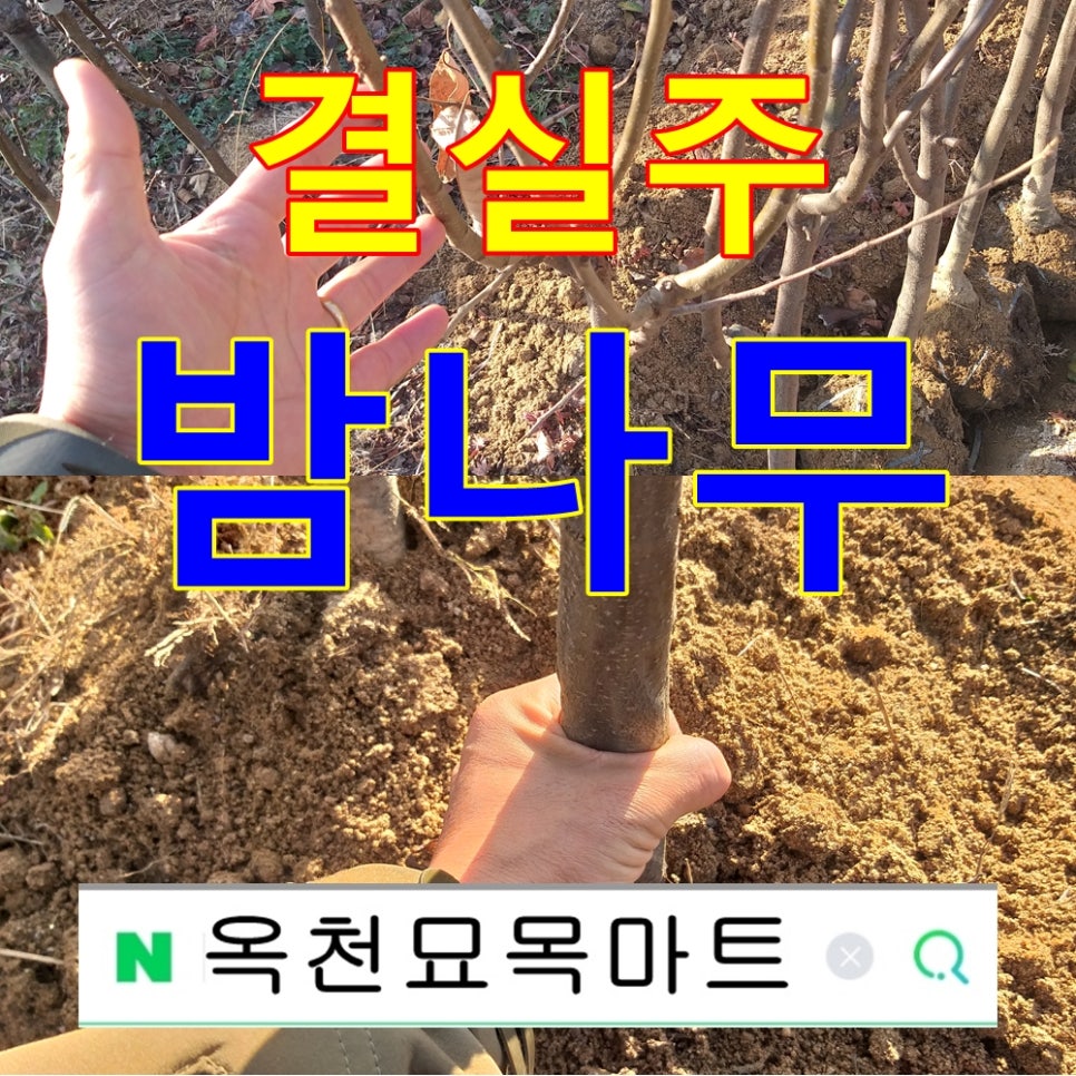 대보마트 이미지
