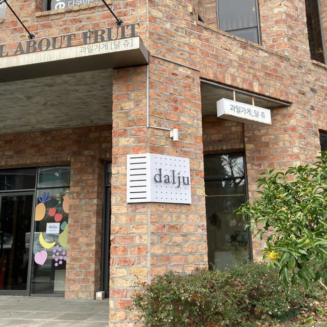 달쥬(DALJU) 이미지