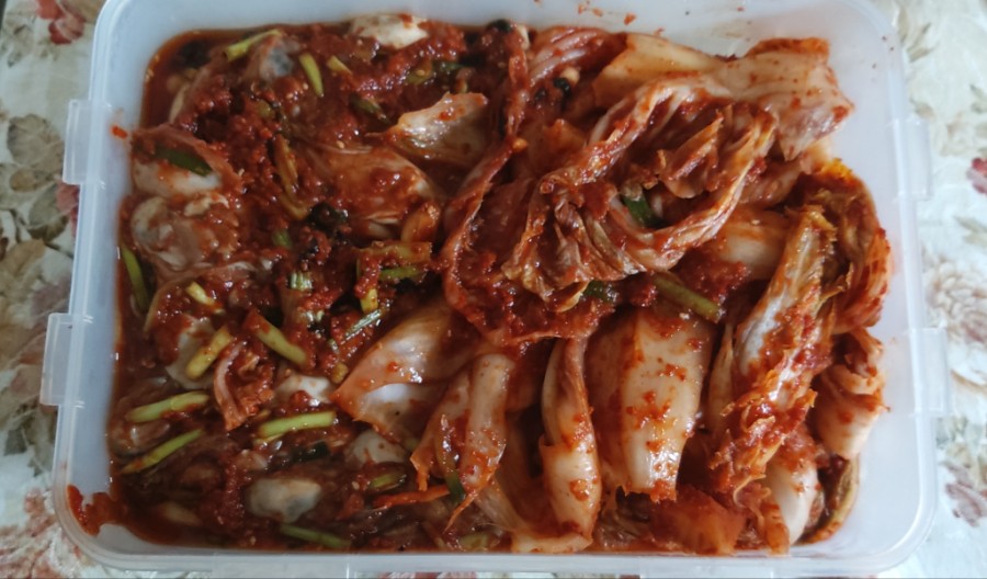 굴과함께 이미지