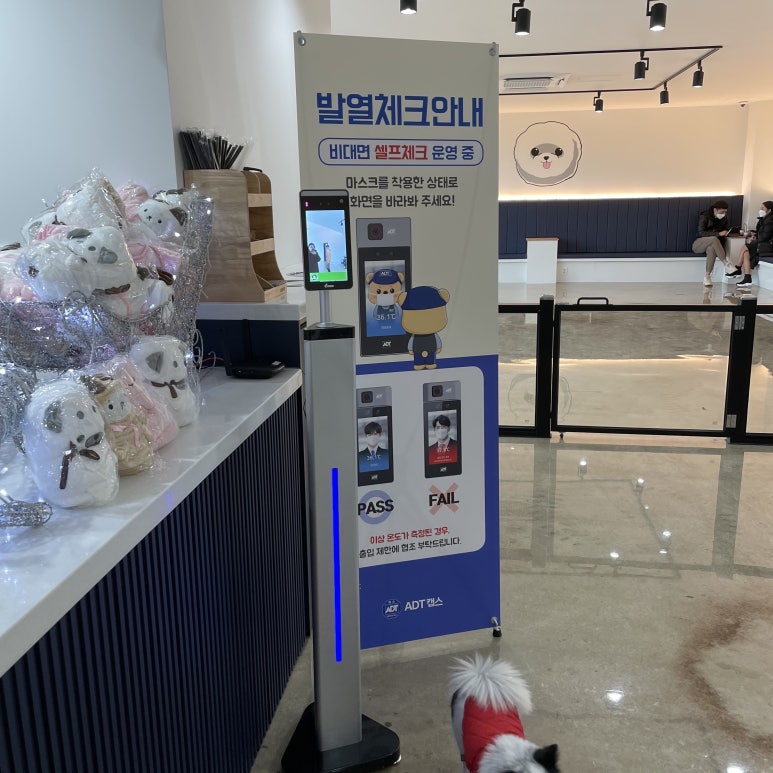 코코독스 이미지
