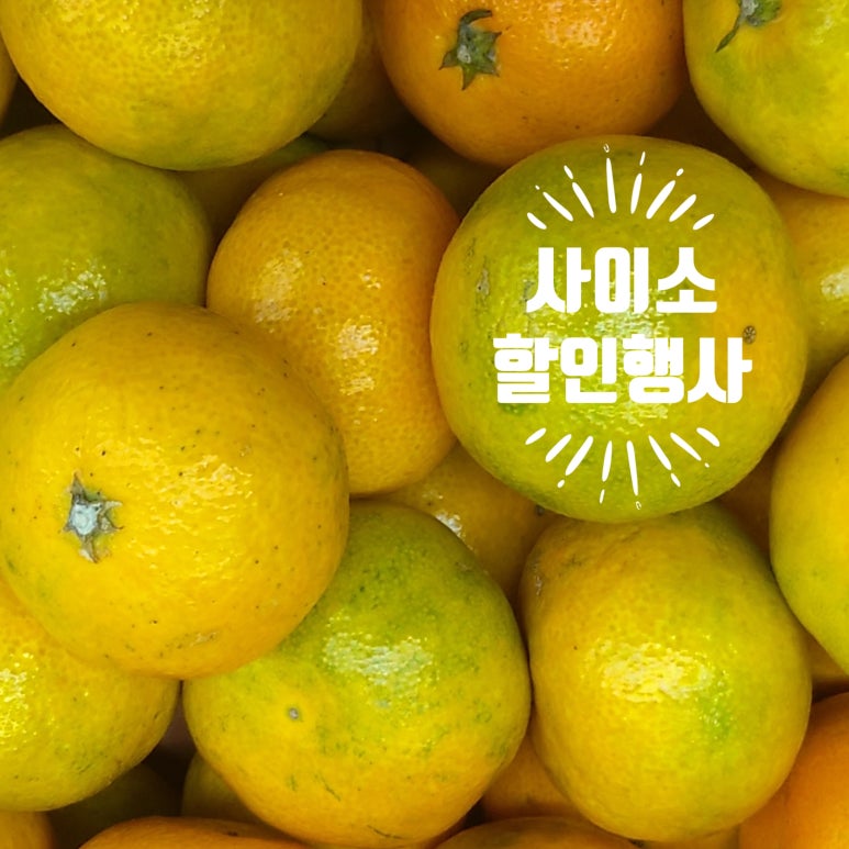 법인다농 이미지