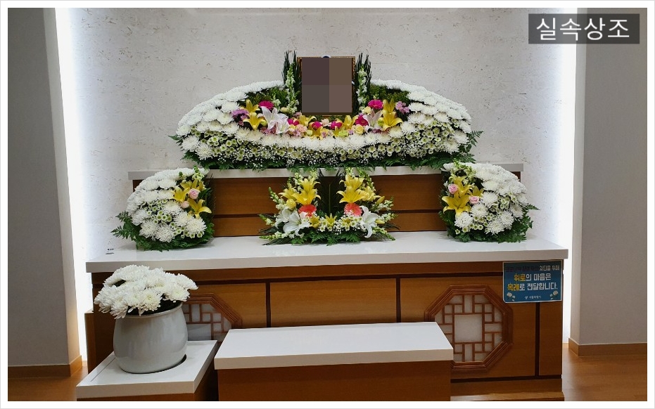 녹색장례 이미지