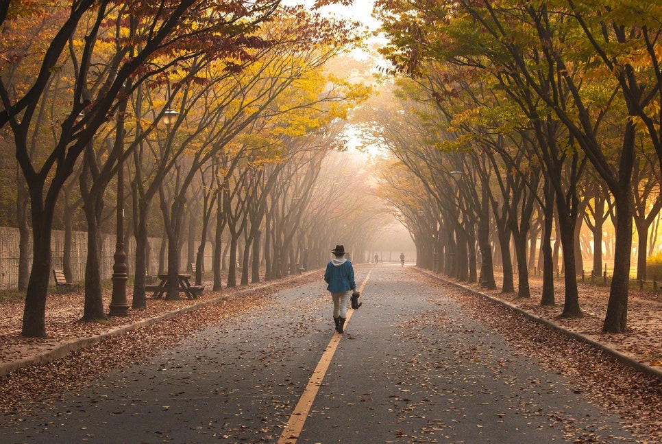 맘날 이미지