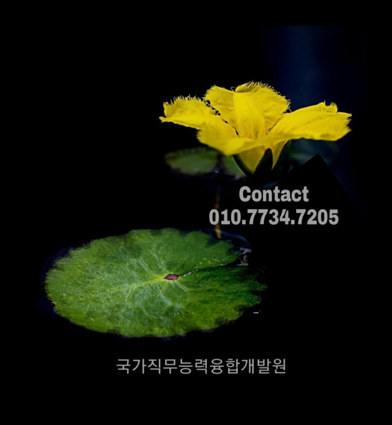 정 직업소개소 이미지