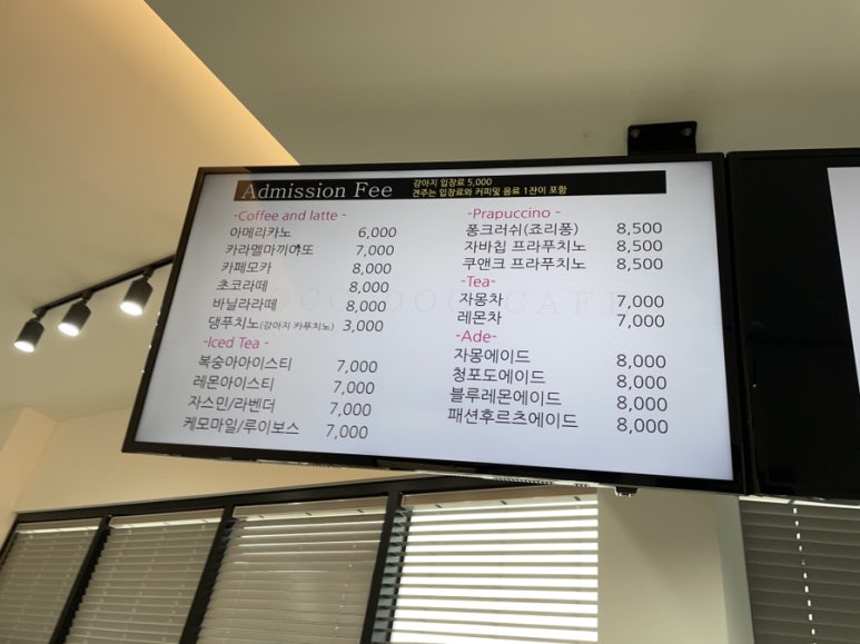 코코독스 이미지