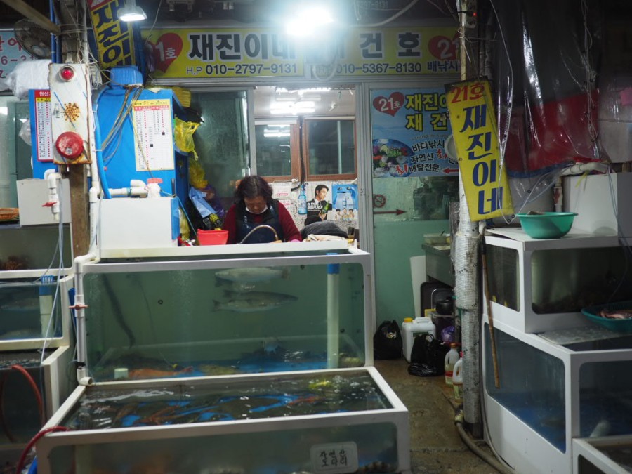 21호재진이네 이미지