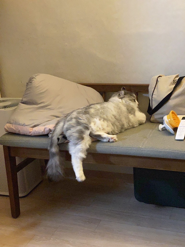 욱이네떡볶이 이미지