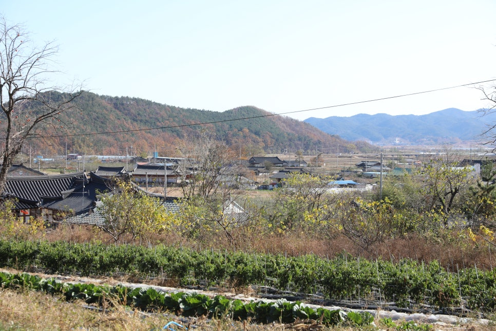 오봉종택고택체험 이미지