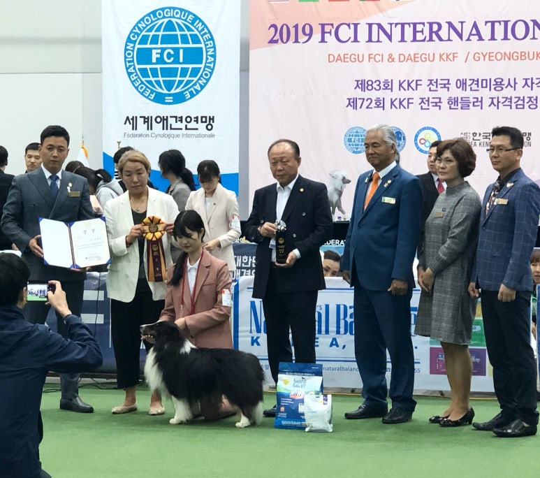 구미펫직업훈련학원 이미지