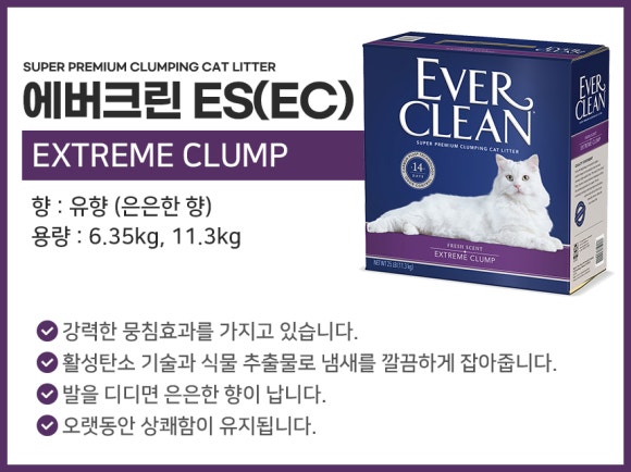 에버크린 이미지