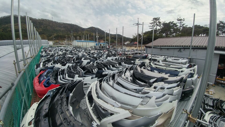 메딕카 이미지
