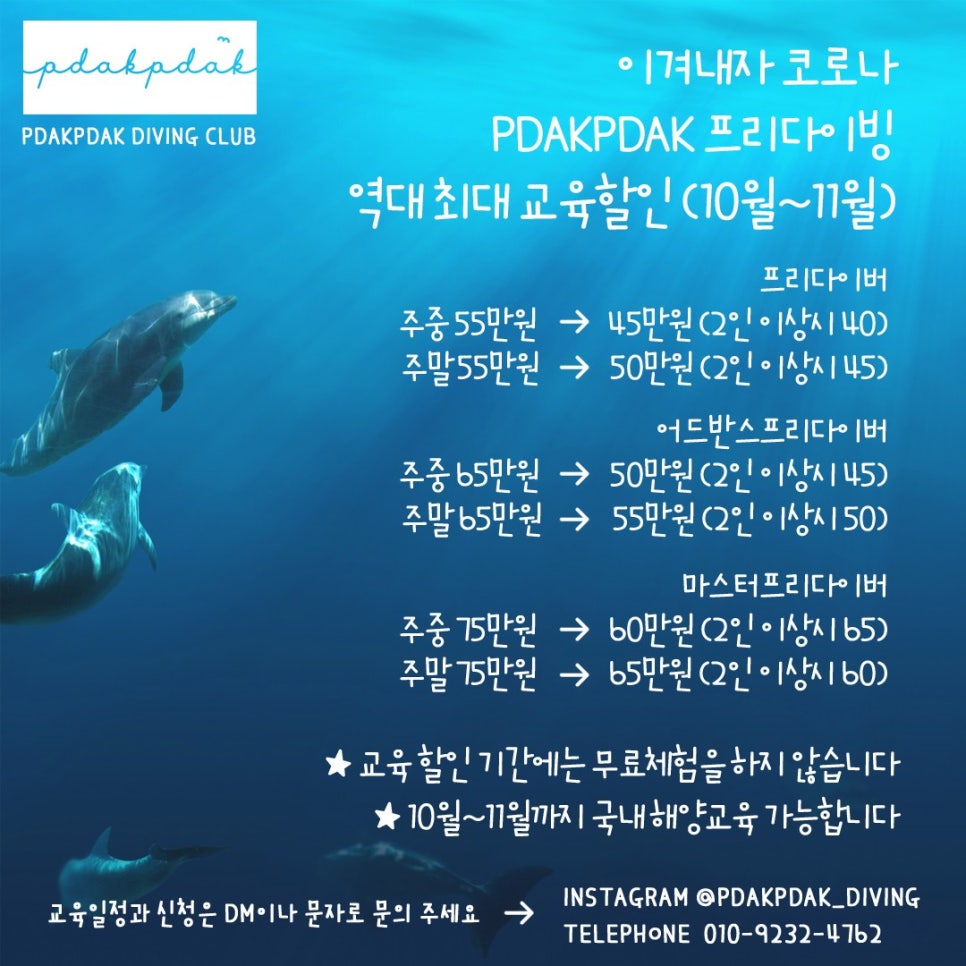프닥프닥 이미지