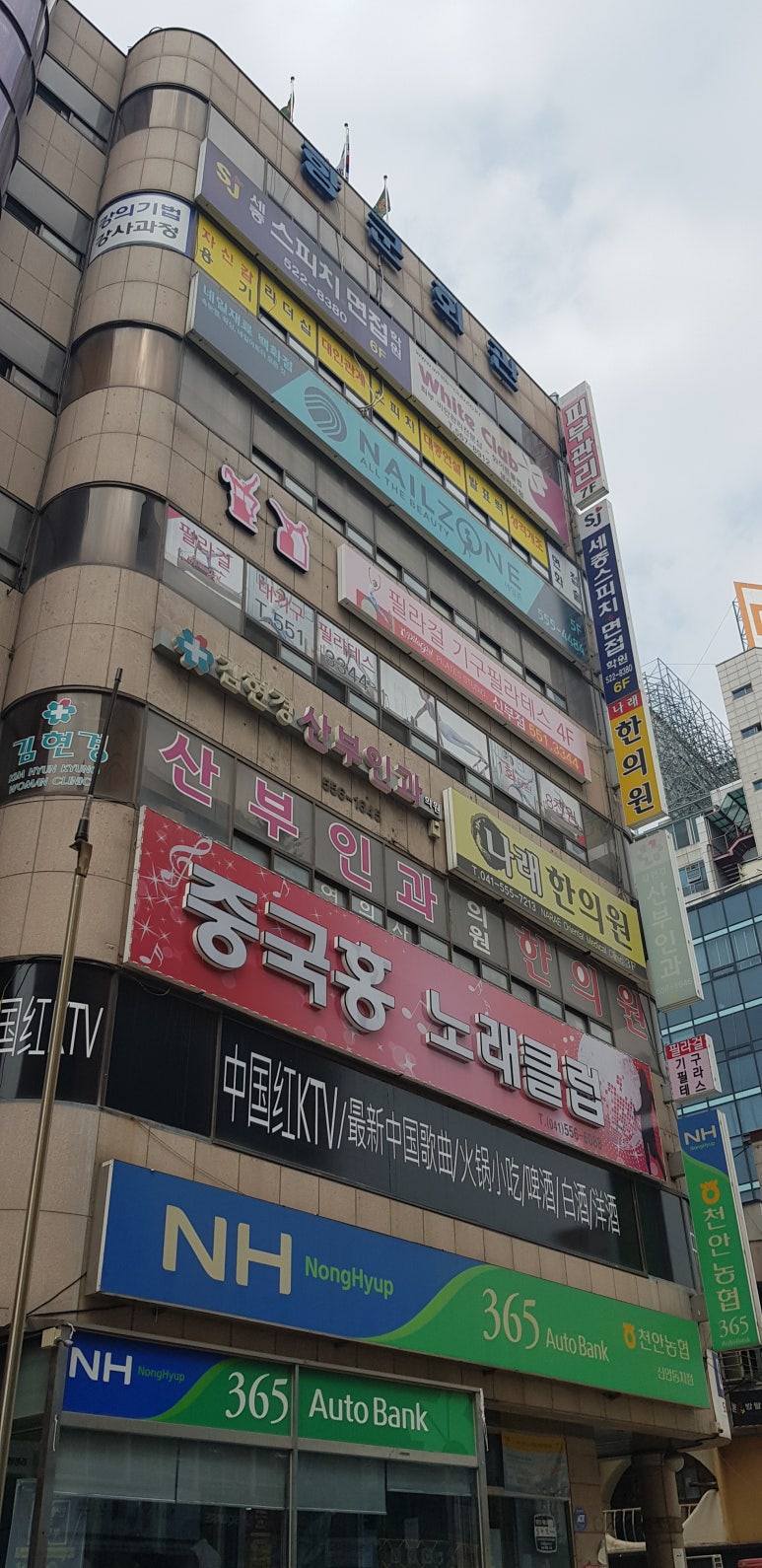 천안세종스피치면접학원 이미지