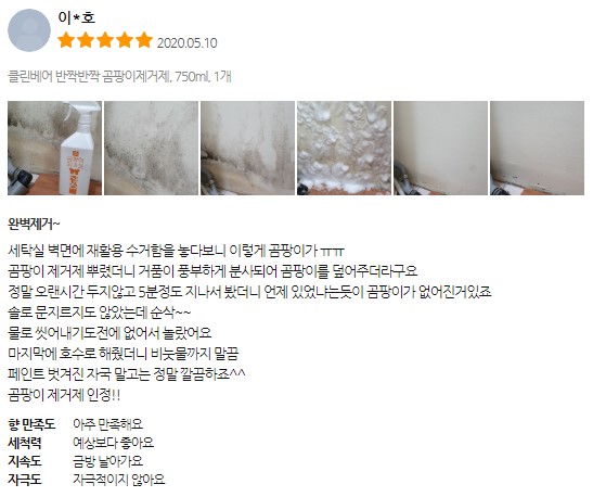 클린베어 이미지
