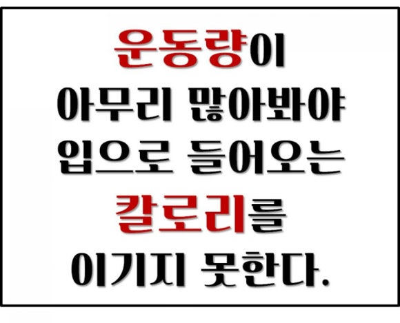 다죠아 이미지