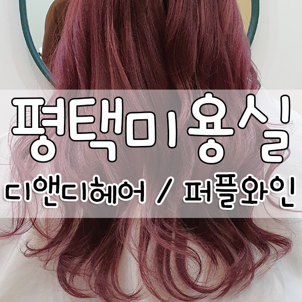 디앤디헤어 이미지