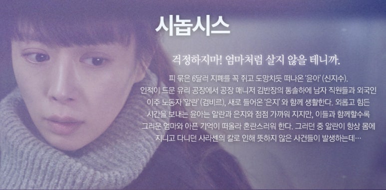 대쉬필름 이미지