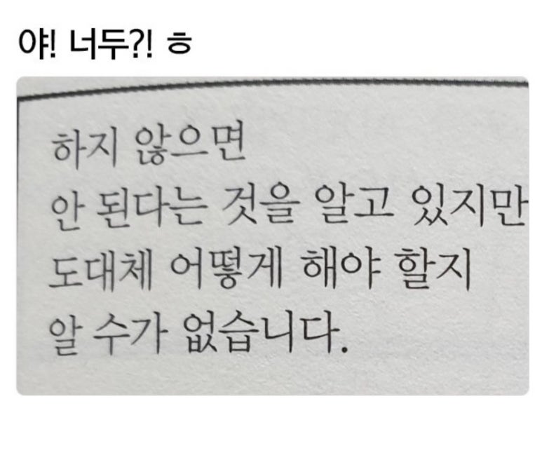 에이플투어 이미지