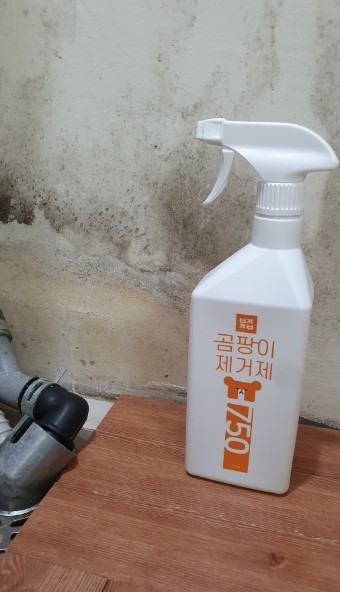 클린베어 이미지