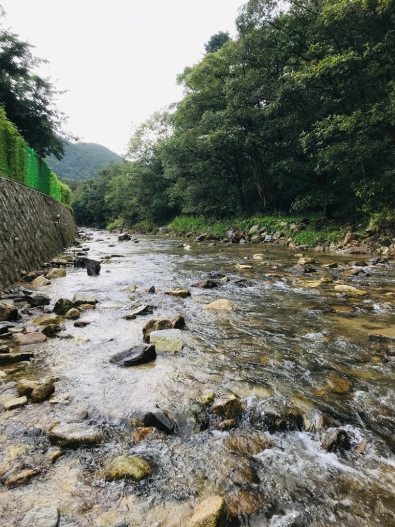 삼화힐링타운캠핑장 이미지