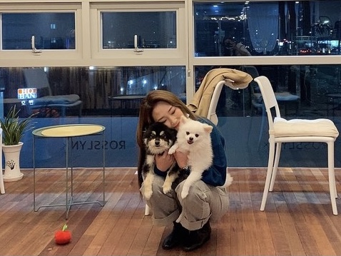 로슬린헤어 이미지