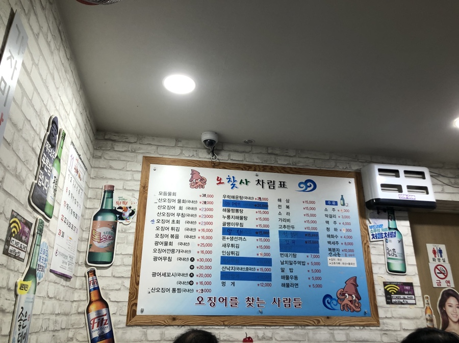 오징어를찾는사람들 이미지