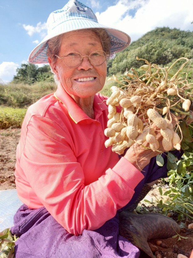 약초마을 이미지