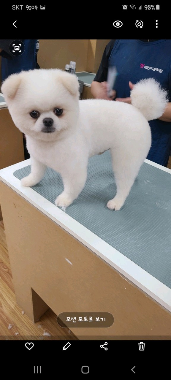 파크랜드포항 이미지