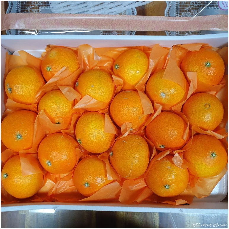 털보농산 이미지