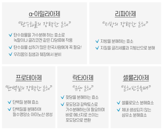 속편안 이미지