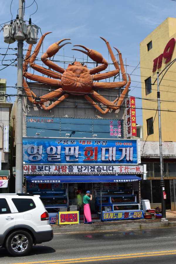 영일만회대게 이미지