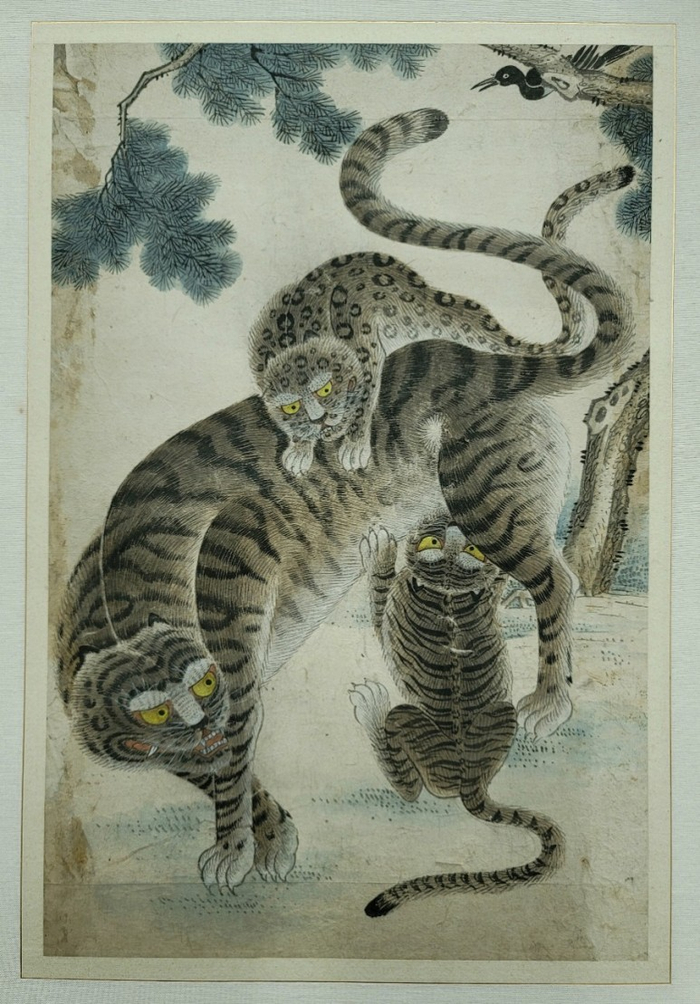 홍OO 이미지