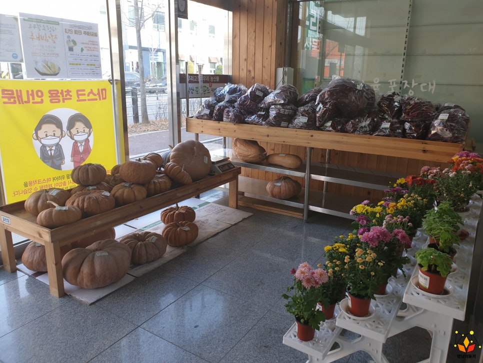 익산로컬푸드베이커리 이미지
