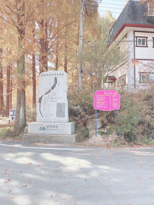 심천치유자연휴양림 이미지