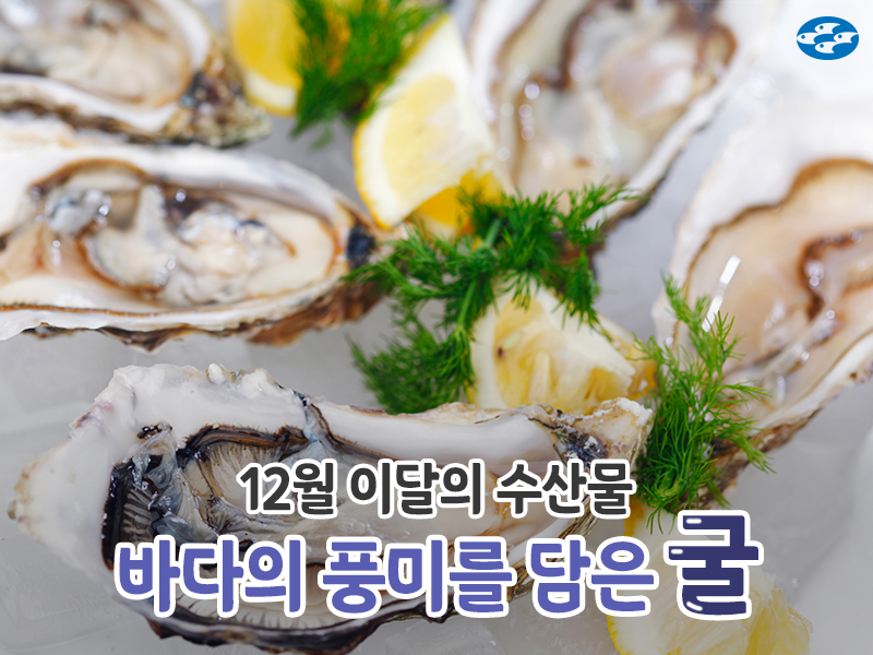 이달의바다 이미지