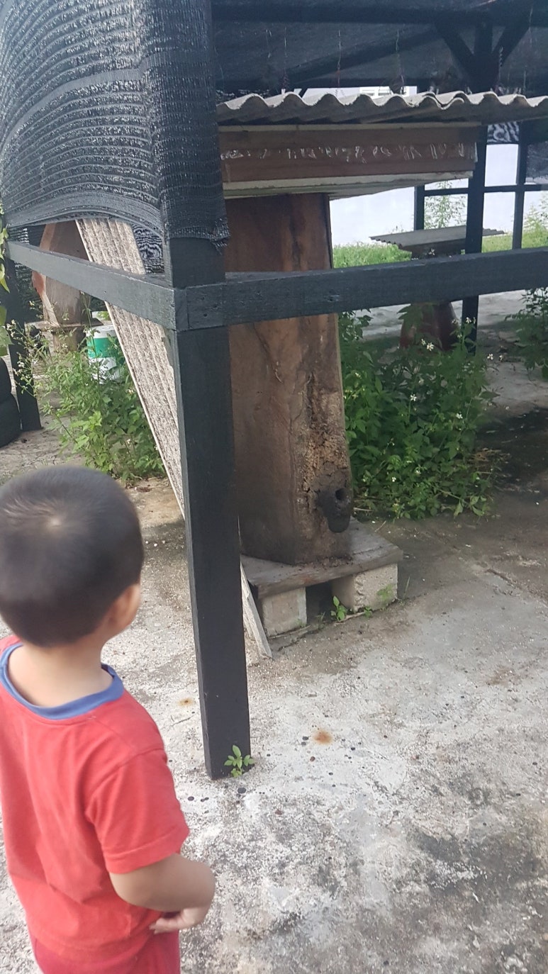 월드농산 이미지