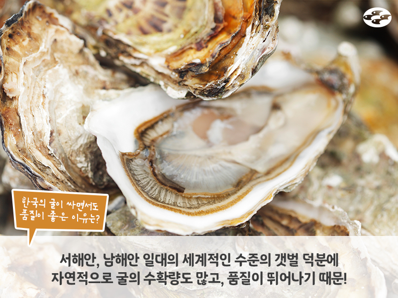 이달의바다 이미지