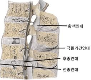 넘버원휘트니스 이미지