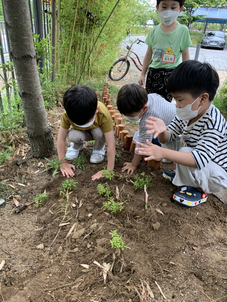 세종마당 이미지
