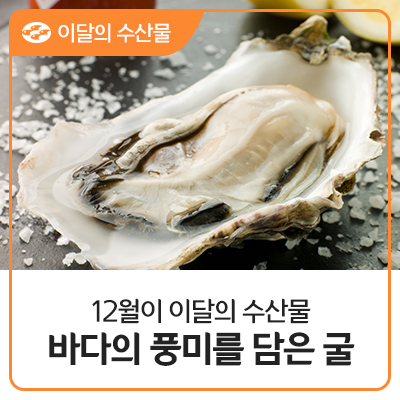 이달의바다 이미지
